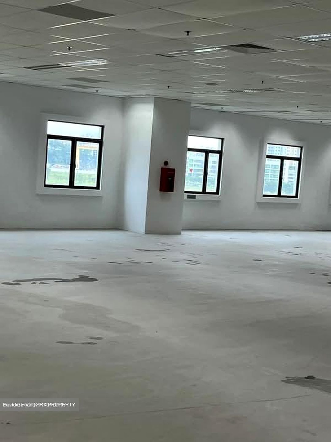 Admirax (D27), Factory #556336711